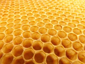 Honeycomb. CC0 Public Domain